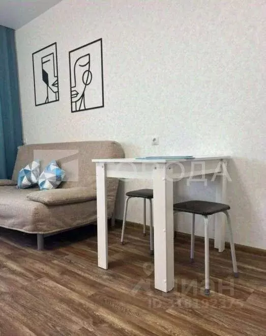 Студия Новосибирская область, Новосибирск ул. Кирова, 242 (30.0 м) - Фото 1