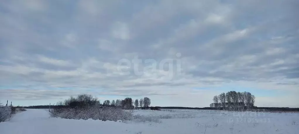 Участок в Новосибирская область, Мошковский район, с. Томилово  (99.98 ... - Фото 1