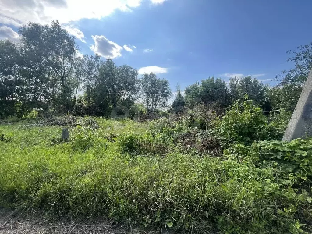 Участок в Воронежская область, Борисоглебск ул. Фрунзе, 122 (12.8 ... - Фото 1