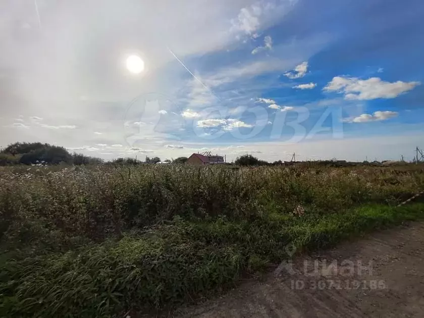 Участок в Тюменская область, Тюмень Рябинка-2 садовое товарищество, ... - Фото 0