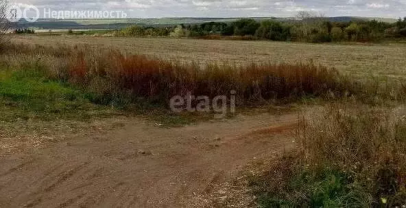 Участок в Нижегородская область, Дальнеконстантиновский муниципальный ... - Фото 1