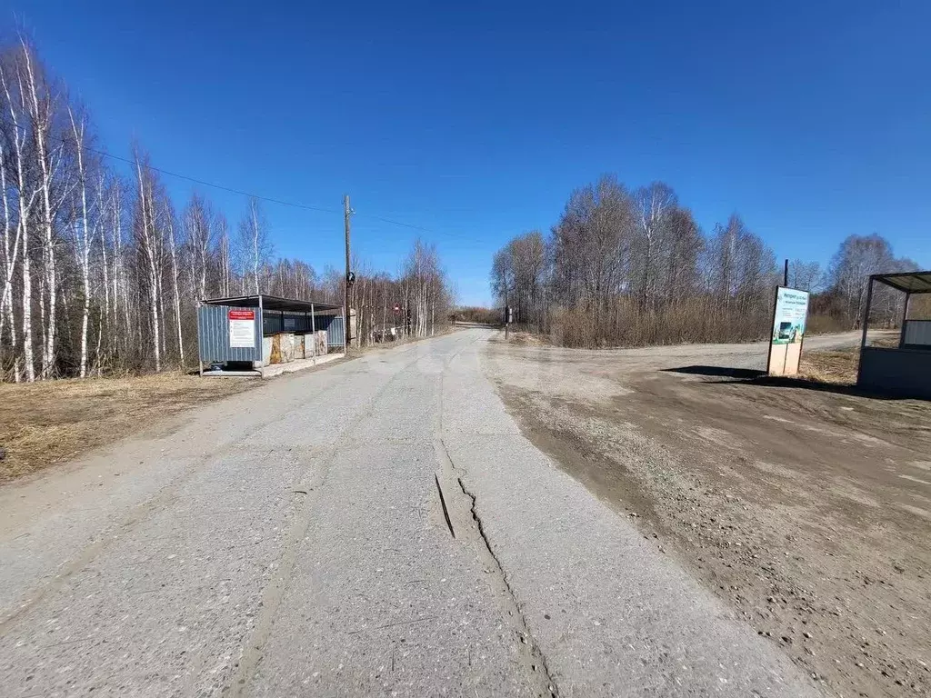 Участок в Тюменская область, Нижнетавдинский муниципальный округ, ... - Фото 1