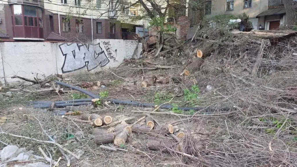 Участок в Воронежская область, Воронеж ул. Декабристов (9.0 сот.) - Фото 0