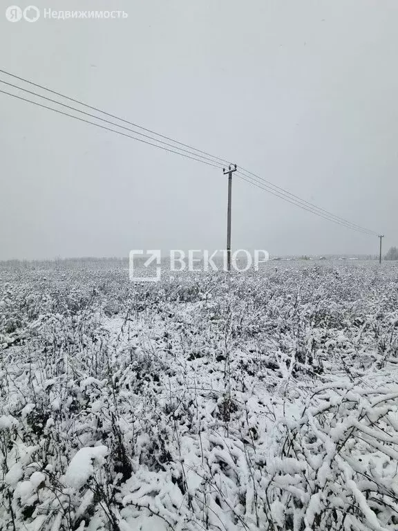 Участок в деревня Иванцево, 2-я Троицкая улица (8 м) - Фото 1