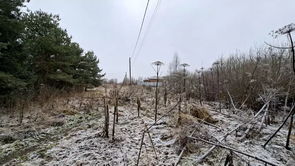 Участок в Тверская область, Конаковский муниципальный округ, с. ... - Фото 2