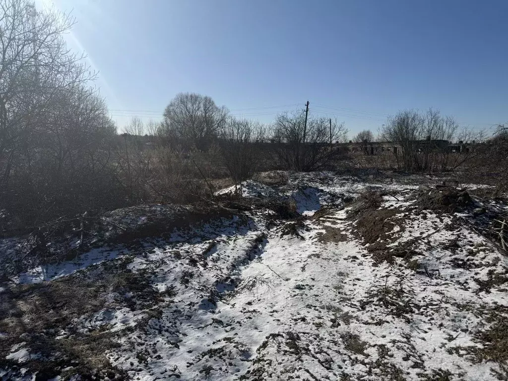 Участок в Московская область, Пушкинский городской округ, Царевское ... - Фото 1