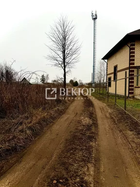 Участок в Костромской район, Шунгенское сельское поселение, деревня ... - Фото 2