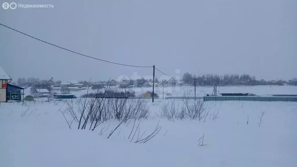 Участок в Республика Мордовия, городской округ Саранск, рабочий ... - Фото 2