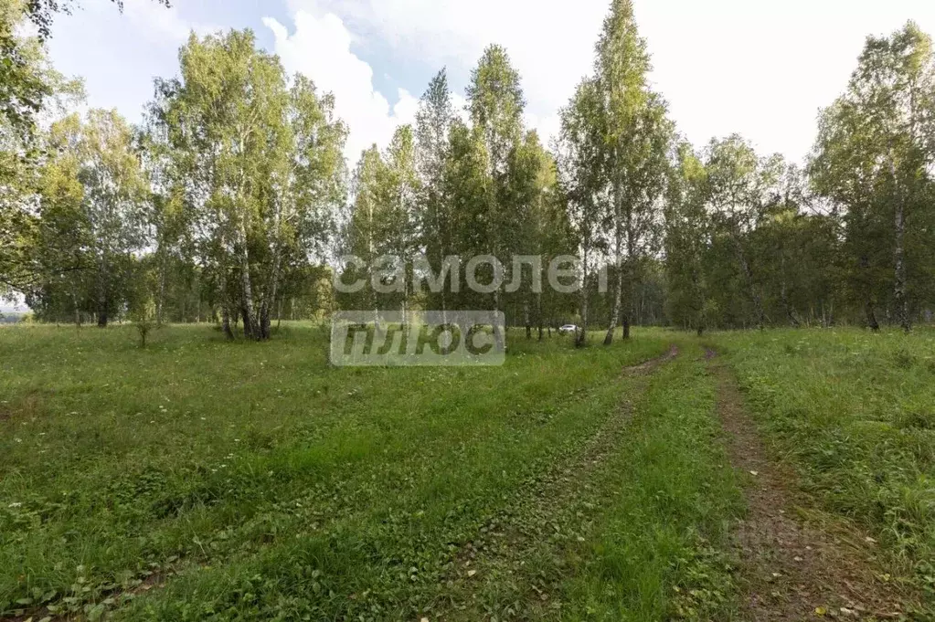 Участок в Челябинская область, Сосновский муниципальный округ, с. ... - Фото 2