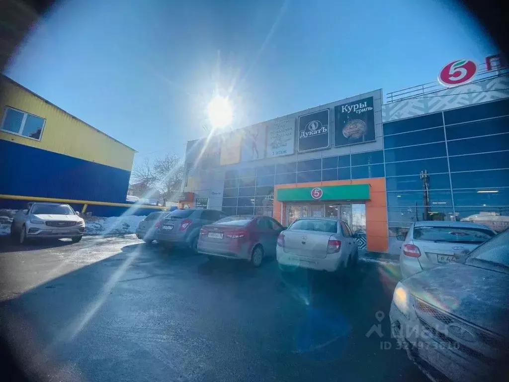 Торговая площадь в Удмуртия, Ижевск ул. Серова, 46 (28 м) - Фото 2