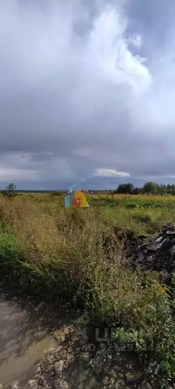 Участок в Тульская область, Тула городской округ, д. Тихвинка  (10.0 ... - Фото 2