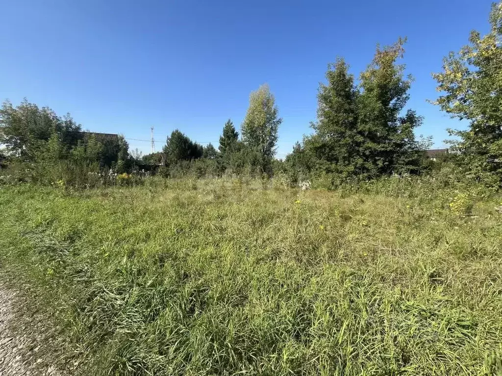 Участок в Новосибирская область, Коченевский район, Судостроитель СНТ ... - Фото 1