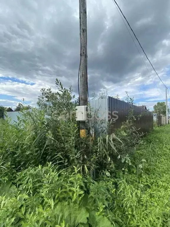 Участок в Тюменская область, Тюмень Лаванда садовое товарищество,  ... - Фото 1