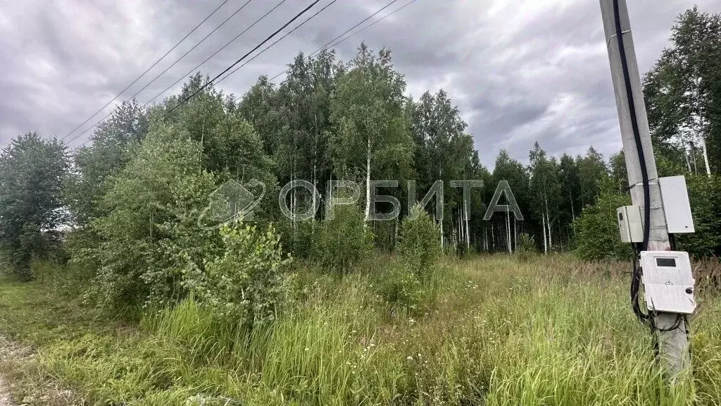 Участок в Тюменская область, Тюмень ул. Бабарынка (11.0 сот.) - Фото 0