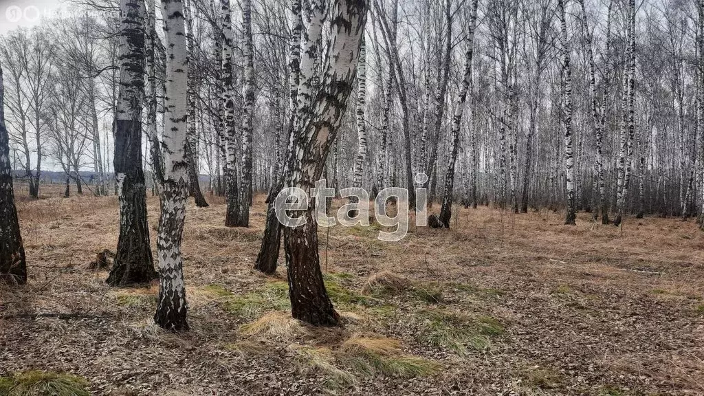 Участок в Репьевский сельсовет, деревня Шмаково, Южная улица (36 м) - Фото 1