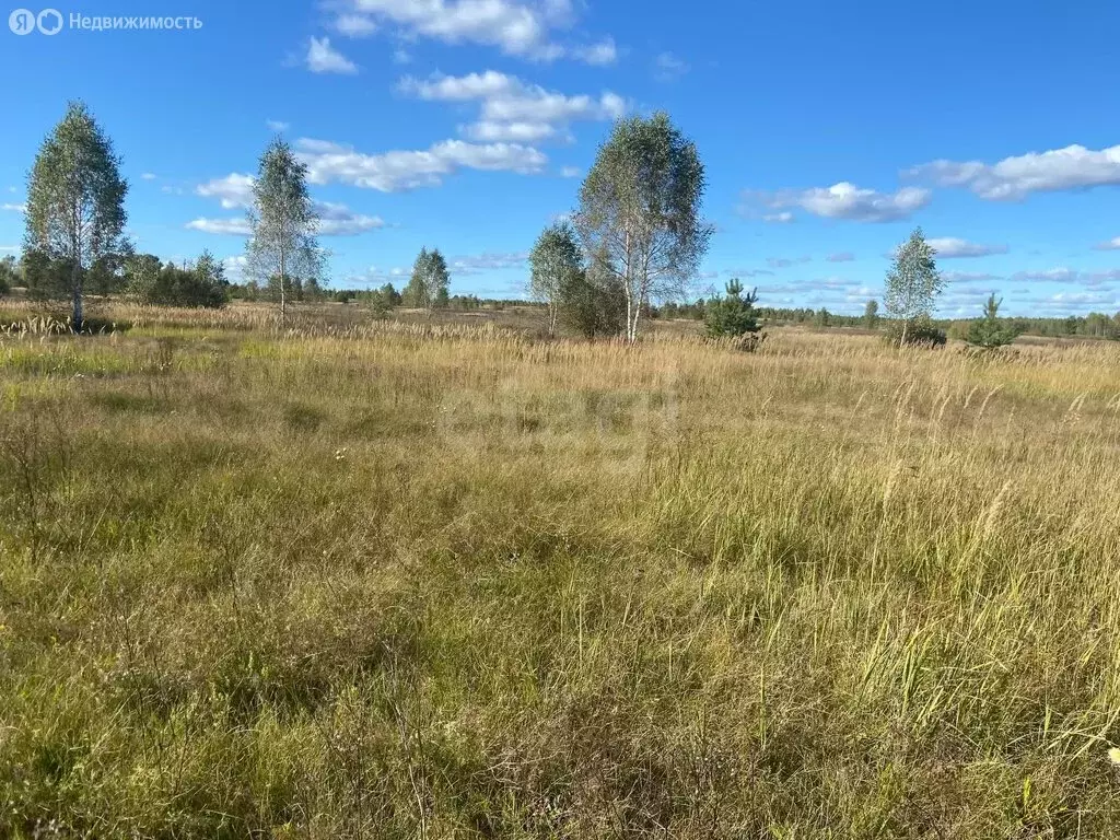 Участок в Республика Марий Эл, Килемарский муниципальный округ, ... - Фото 2