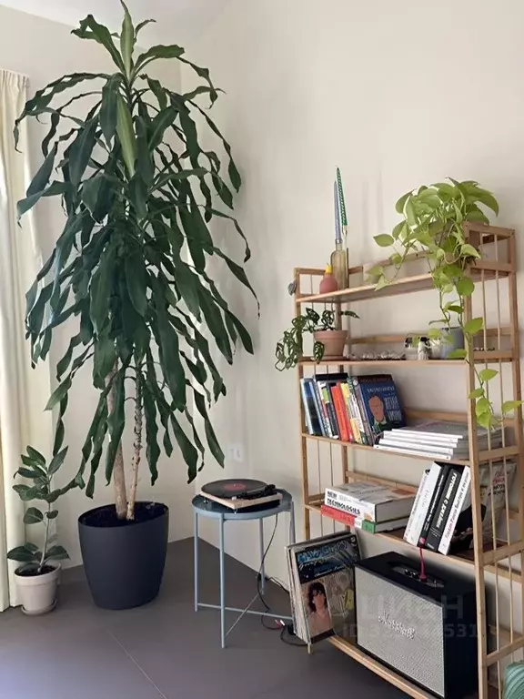 Дом в Краснодарский край, Сочи Красная Поляна пгт, ул. Плотинная, 5Б ... - Фото 2