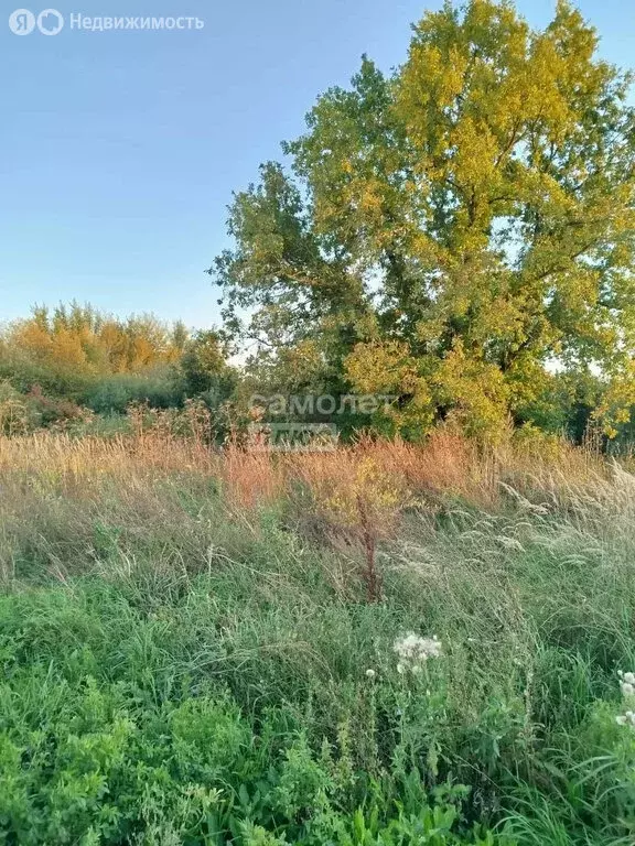 Участок в Чернышевка, Озёрная улица (14 м) - Фото 1