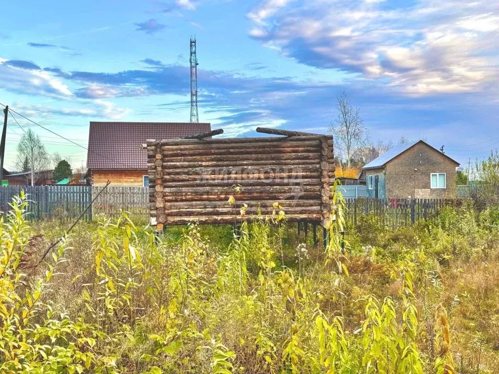 Участок в Томская область, Томский район, с. Курлек Веселая ул. (11.1 ... - Фото 1