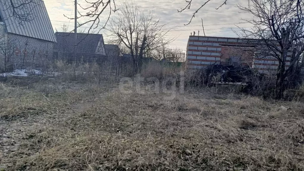 Участок в Саратовская область, Энгельсский район, Терновское ... - Фото 2