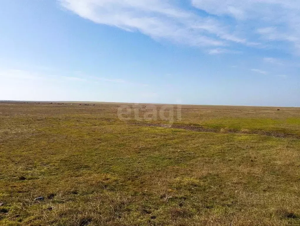 Участок в Крым, Ленинский район, с. Калиновка ул. Шевченко (6.2 сот.) - Фото 1