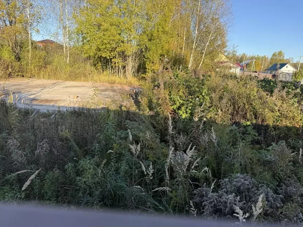 Участок в Владимирская область, Киржач ул. Сурикова, 16Б (16.0 сот.) - Фото 2