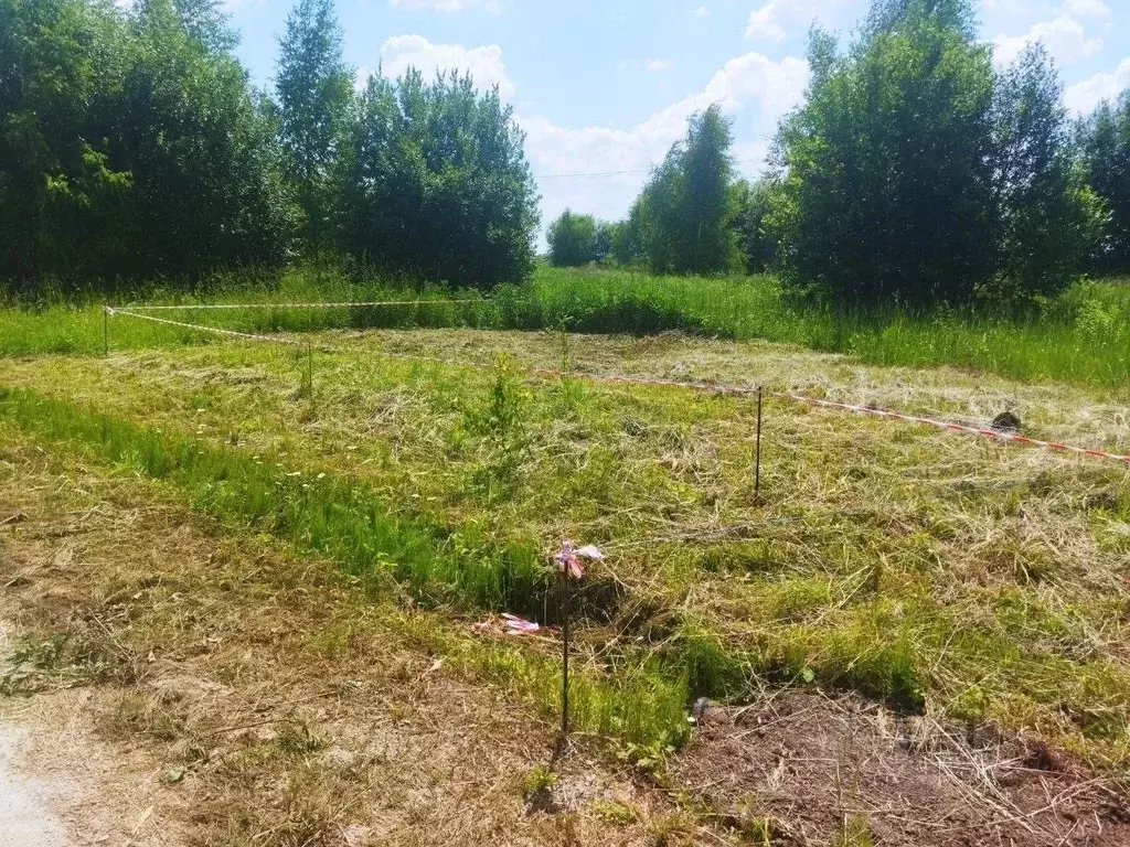 Участок в Тульская область, Ясногорский район, Иваньковское с/пос, д. ... - Фото 1