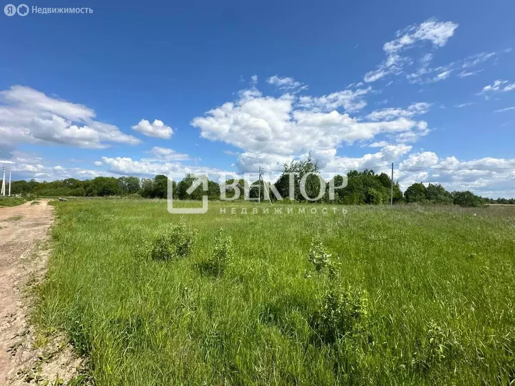 Участок в Кострома, Братский проезд (10 м) - Фото 2