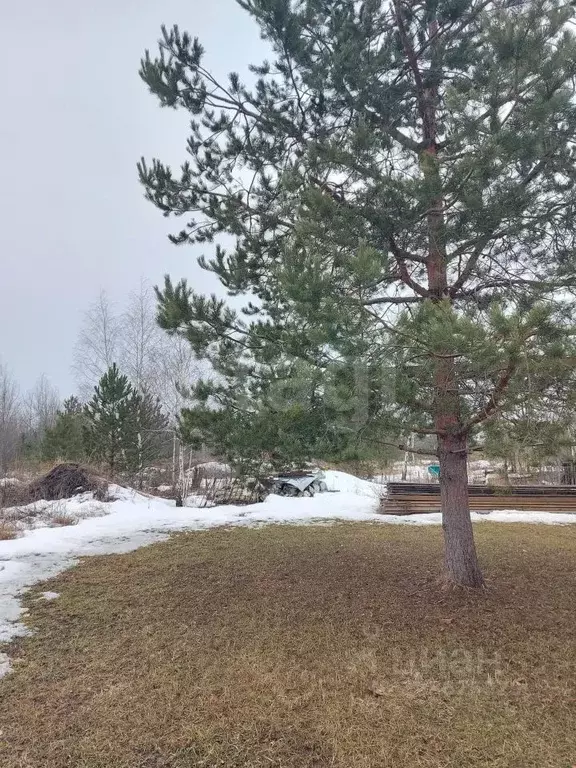 Участок в Воронежская область, Новоусманский район, с. Бабяково ул. ... - Фото 2
