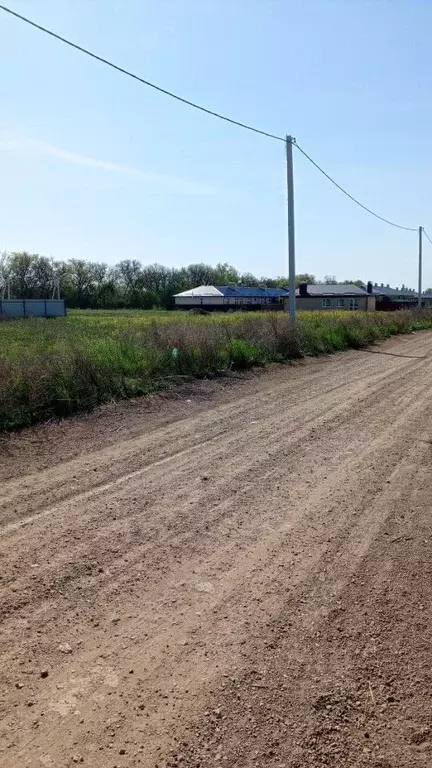 Участок в Ростовская область, Неклиновский район, с. Новобессергеневка ... - Фото 2