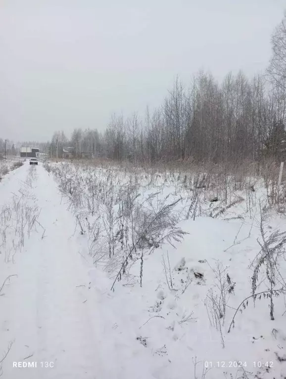 Участок в Новосибирская область, Новосибирский район, Барышевский ... - Фото 1