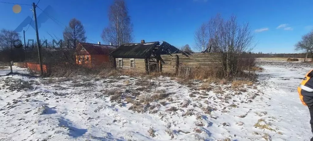 Участок в Вологодская область, Шекснинский район, Сиземское с/пос, с. ... - Фото 1