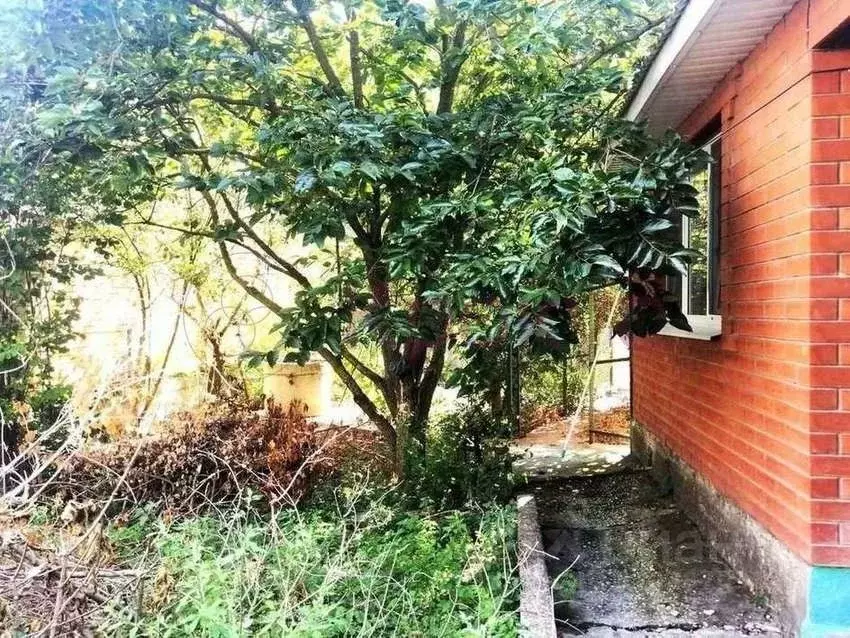 Дом в Краснодарский край, Новороссийск городской округ, с. Мысхако ул. ... - Фото 0