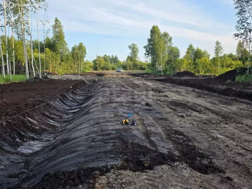 Участок в Тюменский муниципальный округ, КП Милан (20 м) - Фото 2