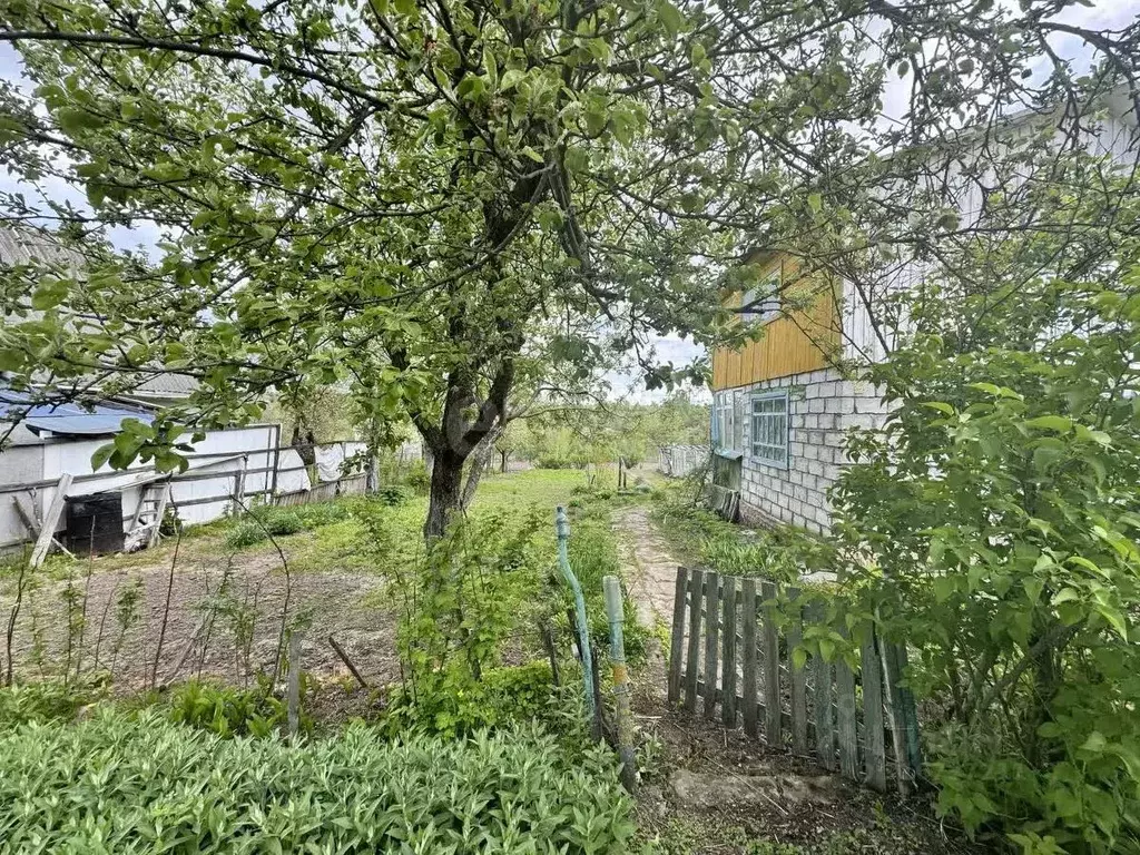 Участок в Брянская область, Брянский район, Снежское с/пос, пос. ... - Фото 0