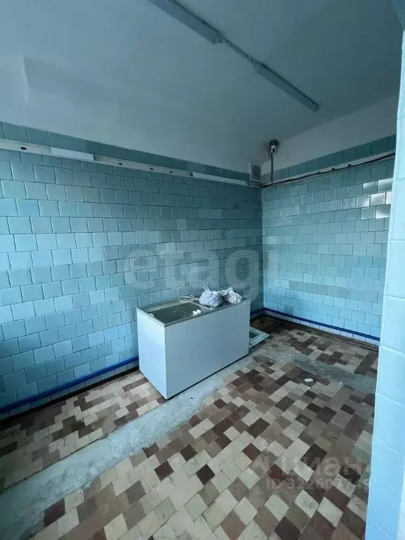 Помещение свободного назначения в Крым, Ялта ш. Южнобережное, 43А (212 ... - Фото 1