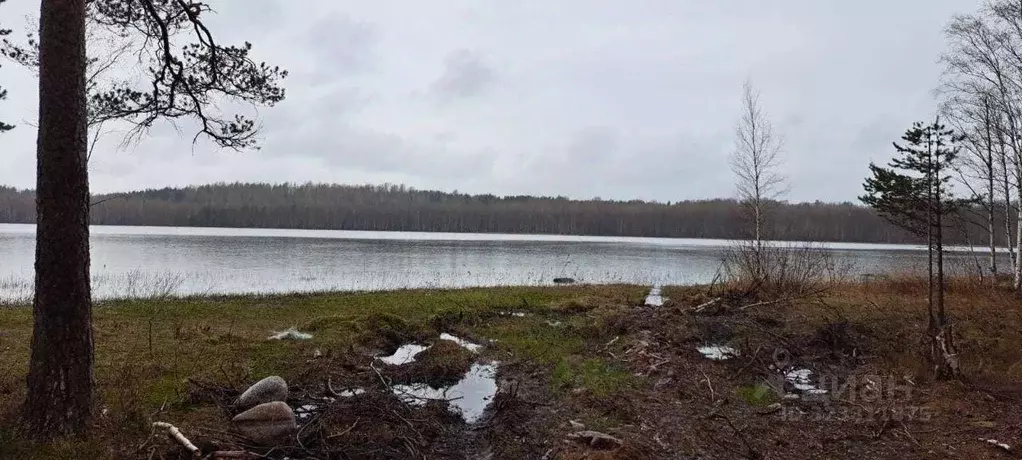 Участок, 6 сот., сельхоз (снт или днп) - Фото 2