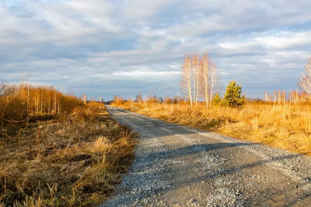 Участок в Новосибирская область, Новосибирский район, Кудряшовский ... - Фото 0