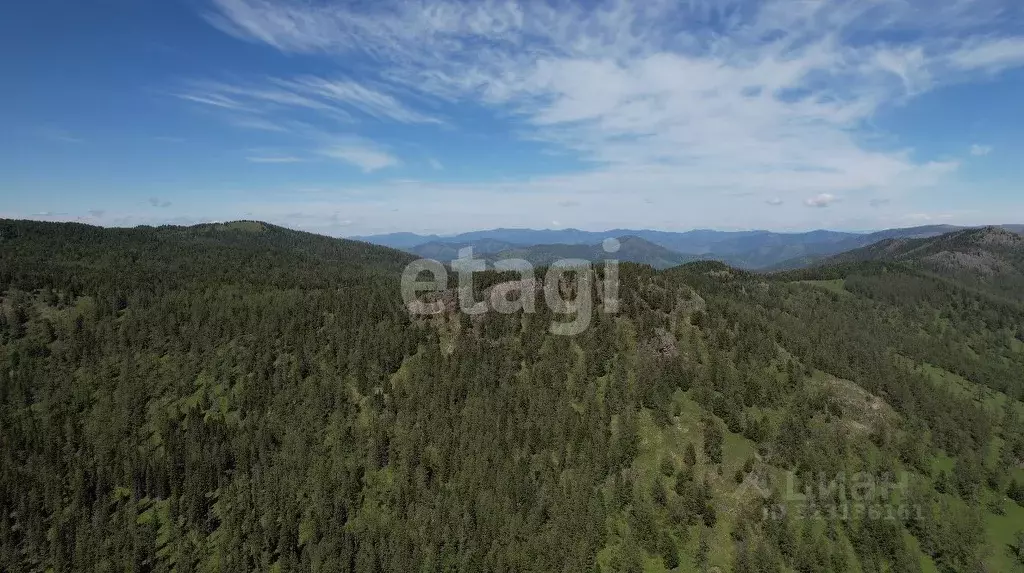 Участок в Алтай, Шебалинский район, с. Дъектиек ул. Центральная ... - Фото 1