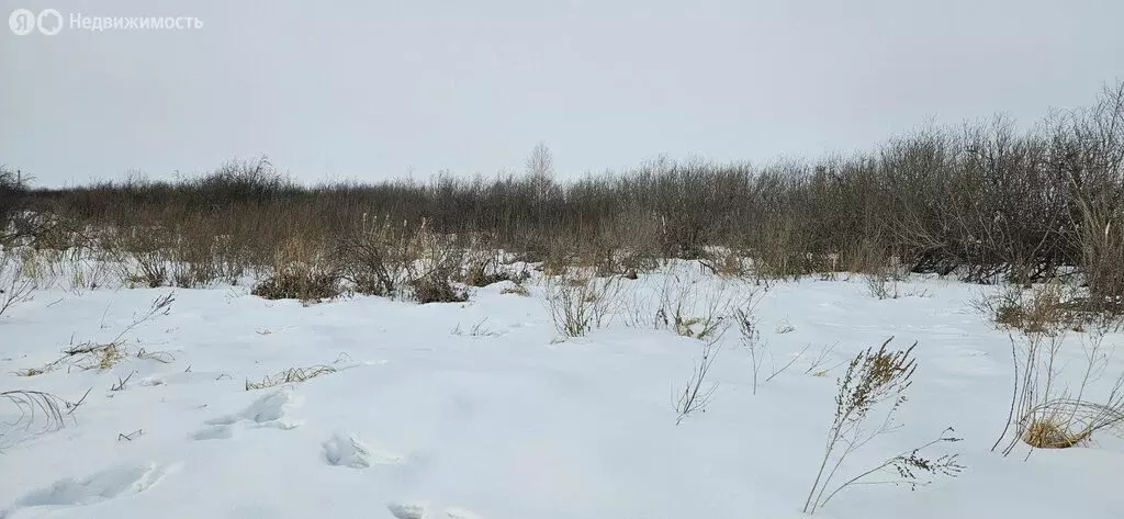 Участок в Ялуторовск, улица Артемьева, 60 (10 м) - Фото 1