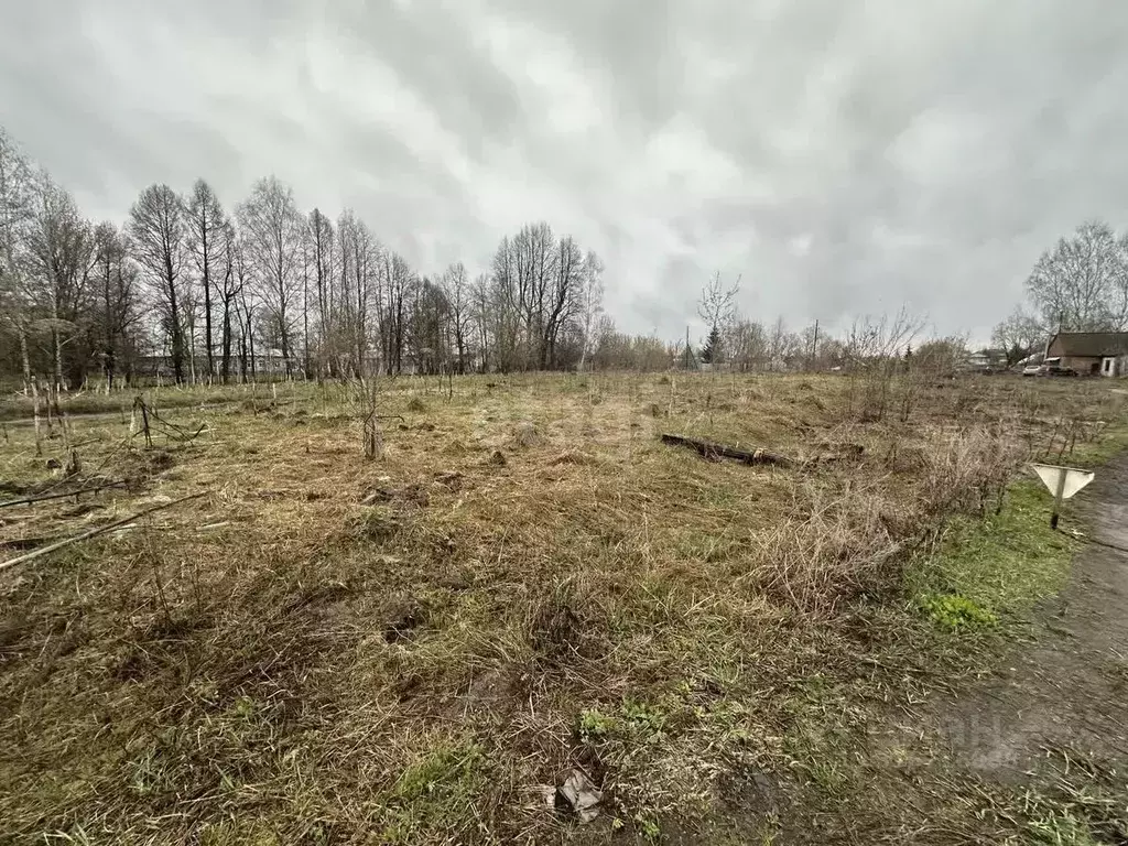 Участок в Владимирская область, Муром с. Борисоглеб, ул. Прудовая ... - Фото 0
