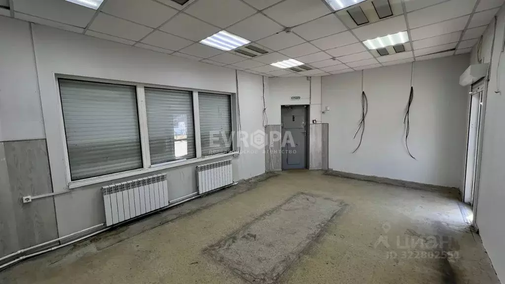 Торговая площадь в Ульяновская область, Ульяновск Камышинская ул., 8А ... - Фото 2