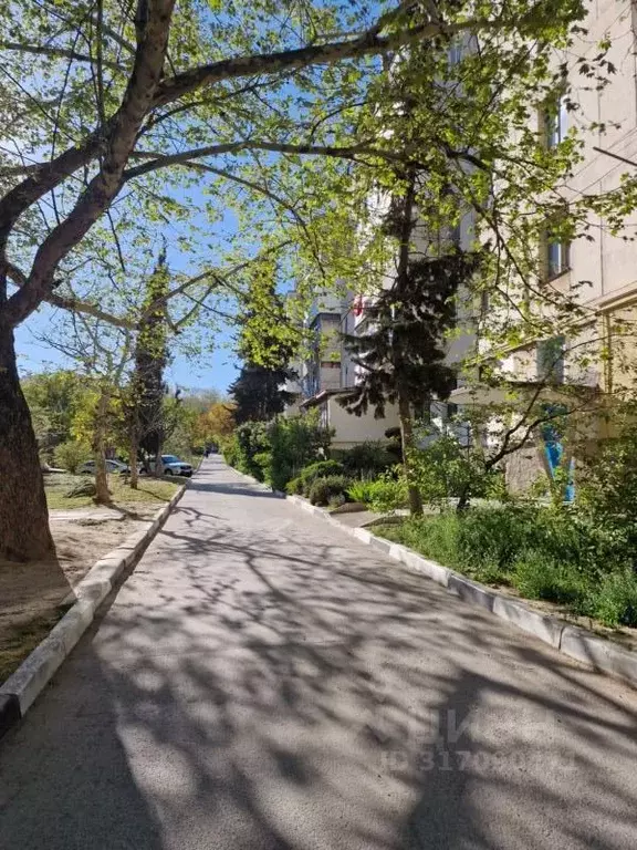 1-к кв. Севастополь ул. Серафимовича, 30 (30.0 м) - Фото 0