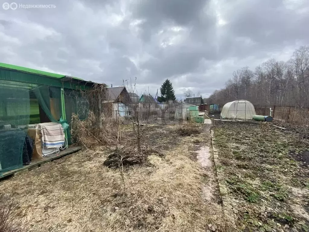 Дом в Тюмень, территория СОСН Рябинка (50 м) - Фото 2