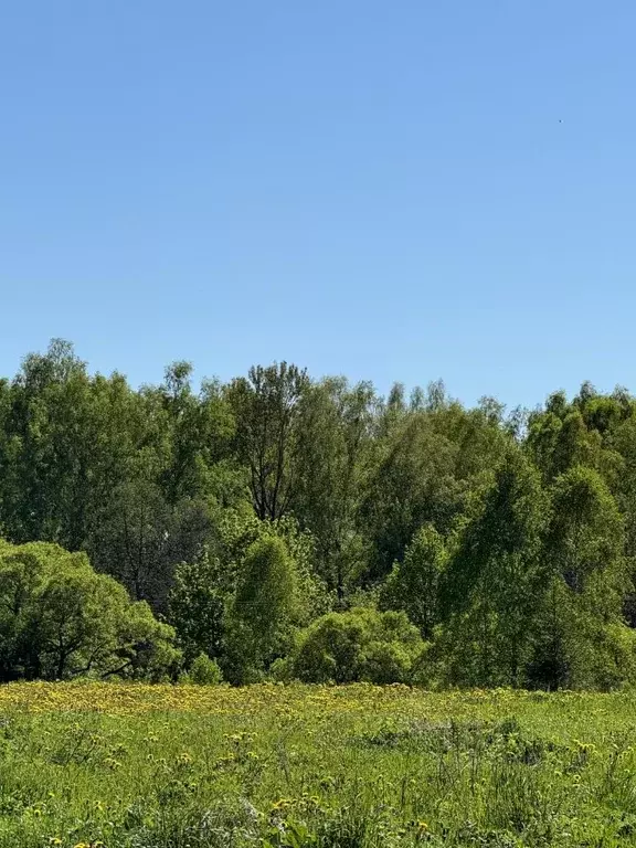 Участок в Калужская область, Мещовск городское поселение, д. Шалово ... - Фото 1