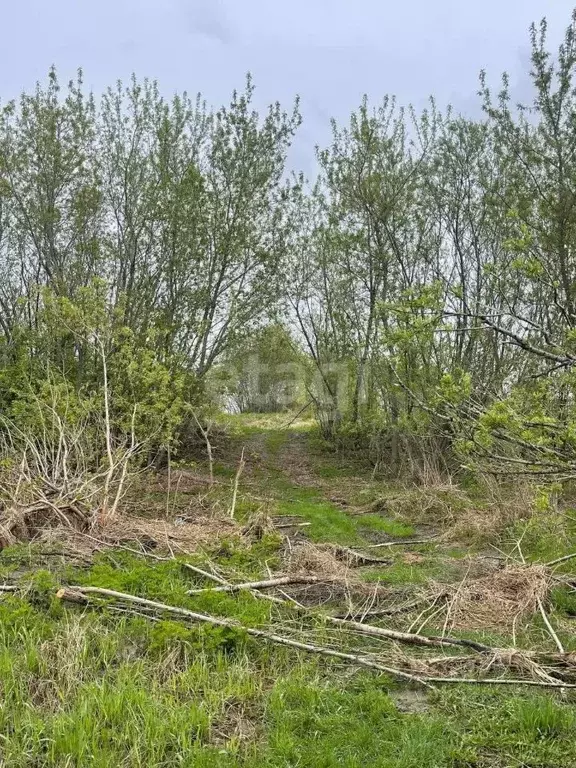 Участок в Томская область, Томский район, Приречное садовое ... - Фото 0