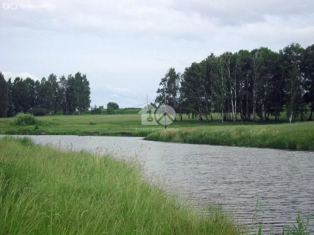Участок в Ордынский район, Новопичуговский сельсовет (10 м) - Фото 1