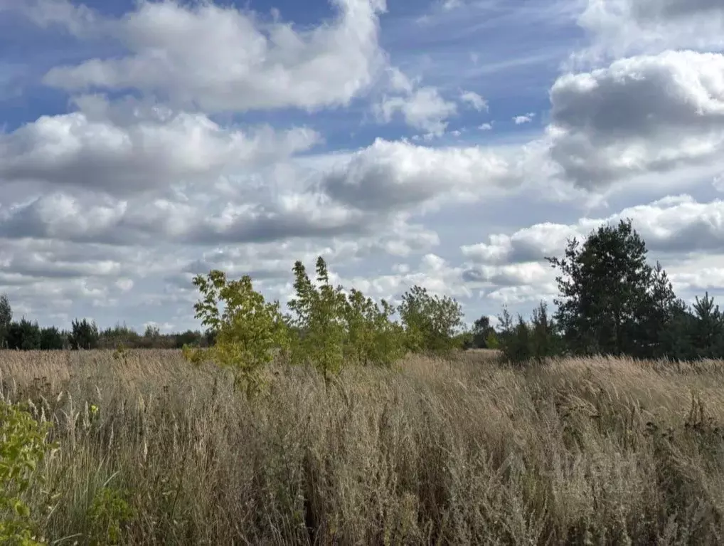 Участок в Московская область, Орехово-Зуевский городской округ, д. ... - Фото 1