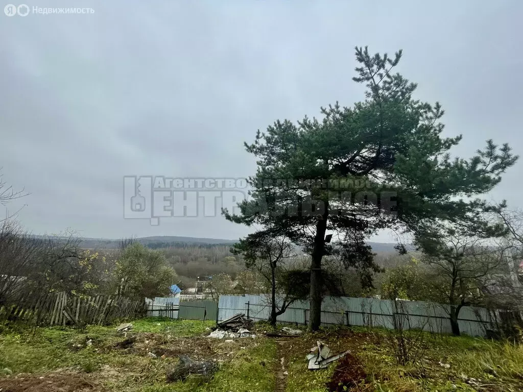 Дом в Смоленск, СТ Аналитприбор (20 м) - Фото 1