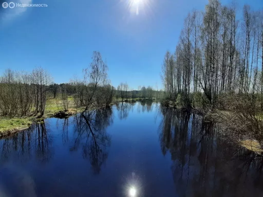 Дом в деревня Коротово, улица Ленина, 45 (55 м) - Фото 1